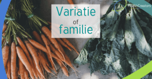 Links een bos verse wortelen, recht groene bladgroenten. Tekst: variatie of familie